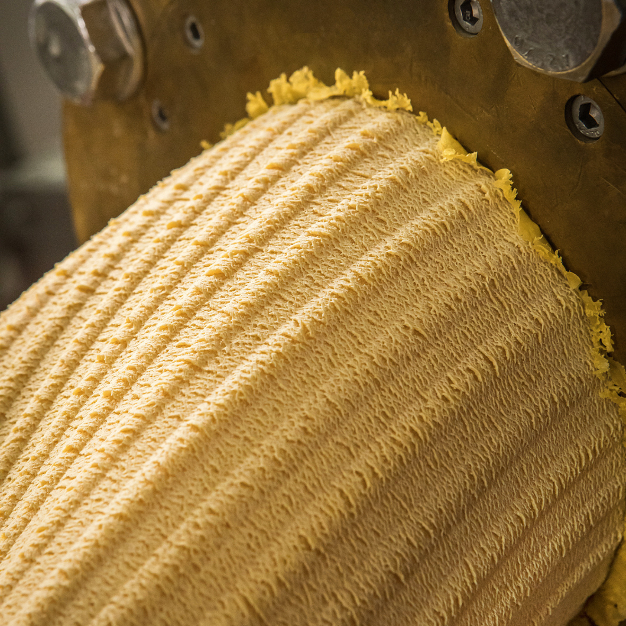 Mezze Maniche Filotea