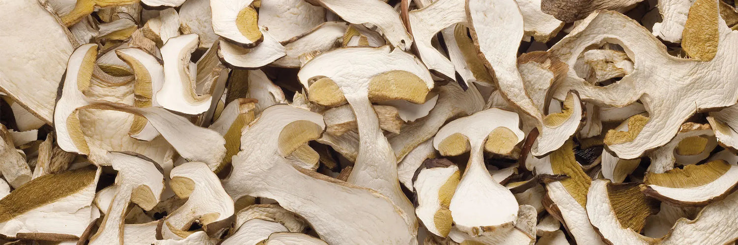Getrocknete Steinpilze Zubereiten