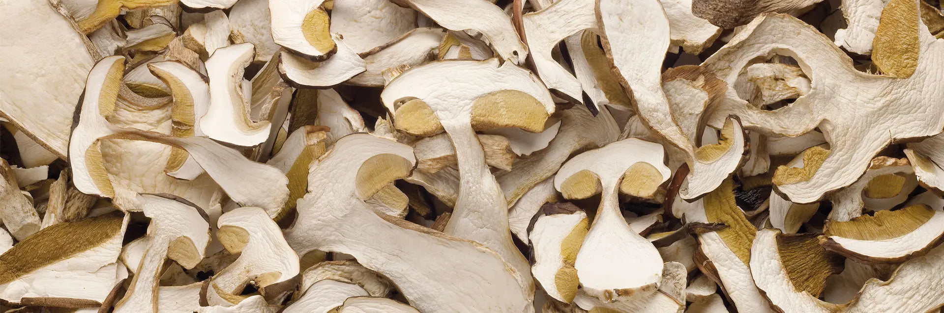 Getrocknete Steinpilze Zubereiten