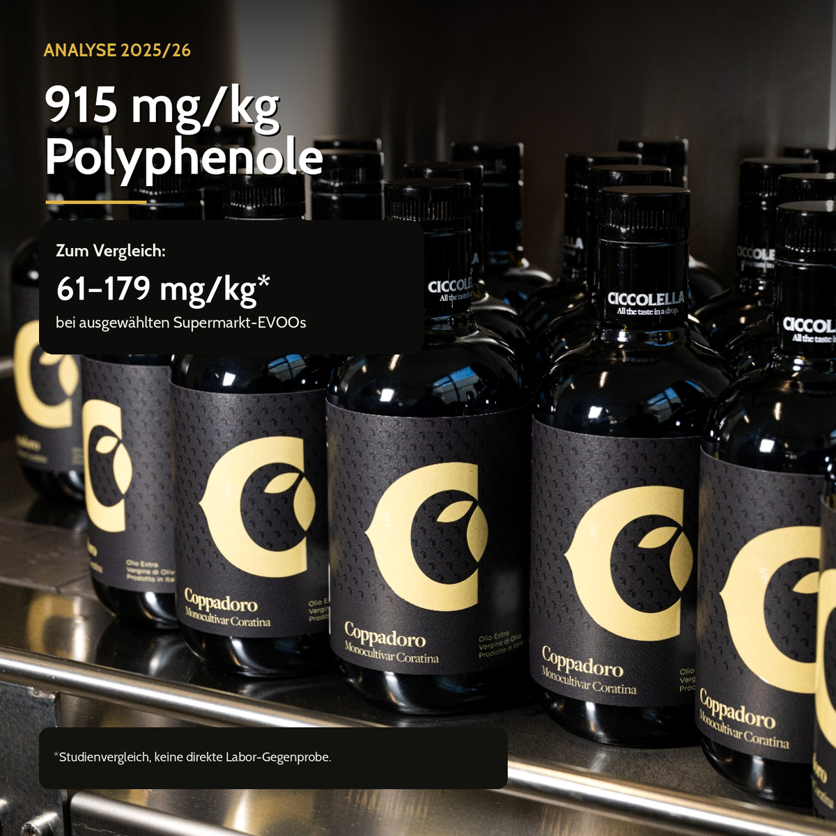 Olivenöl extra nativ Coppadoro  – intensiv, bitter und pikant