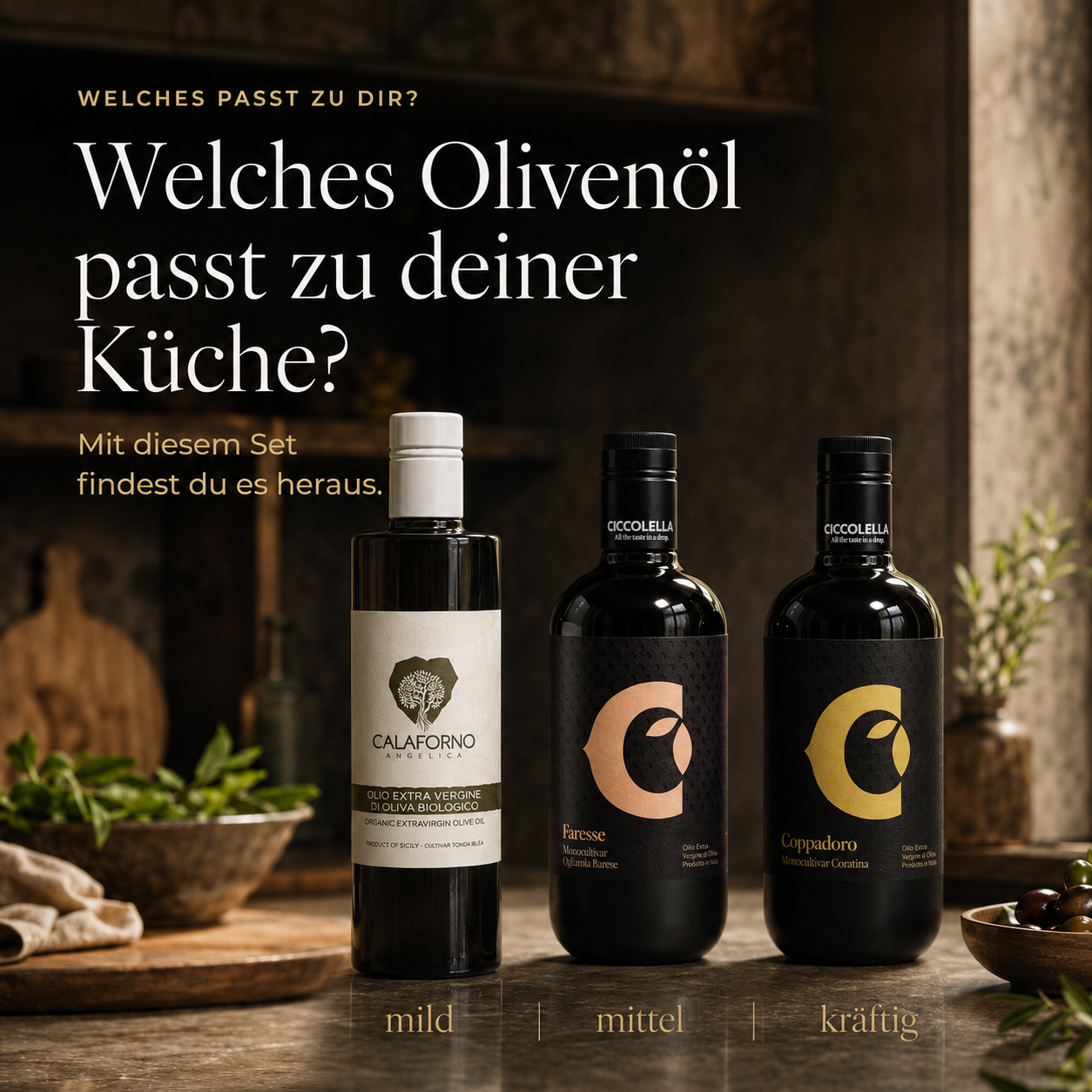 Olivenöl-Probierpaket Süditalien – Ernte 2025/26