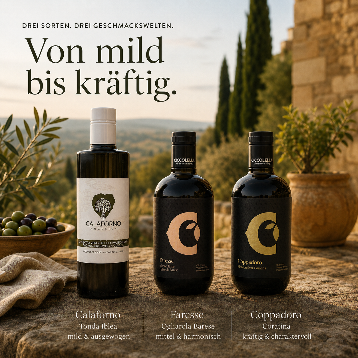 Olivenöl-Probierpaket Süditalien – Ernte 2025/26
