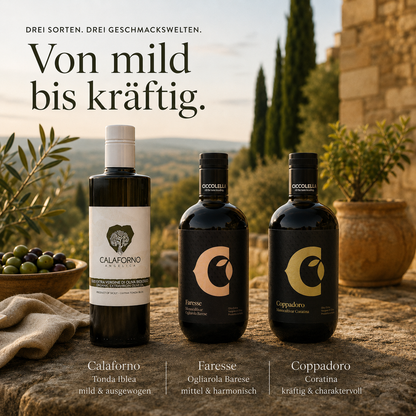 Olivenöl-Probierpaket Süditalien – Ernte 2025/26