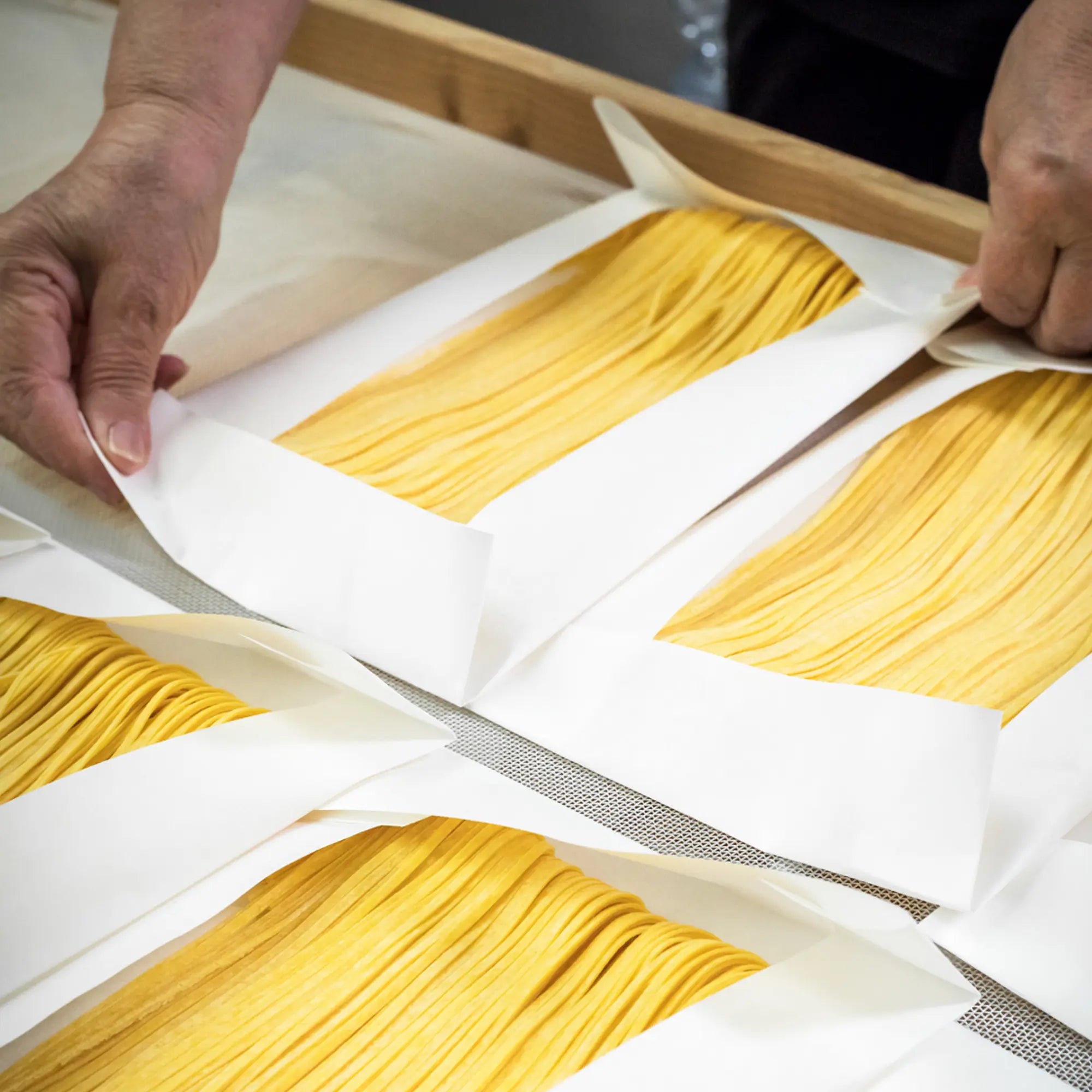Filotea Pasta